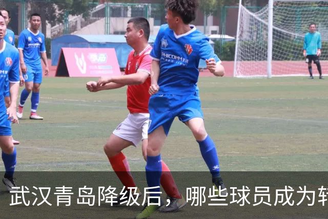 武汉青岛降级后，哪些球员成为转会热捧对象？